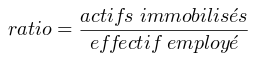 ratio = \frac{actifs \ immobilisés}{effectif \ employé}